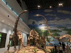 -自贡恐龙博物馆