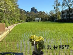 -明仕田园