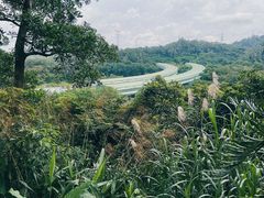 -深圳仙湖植物园