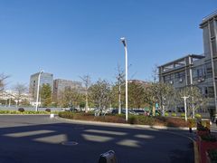 -深圳大学总医院