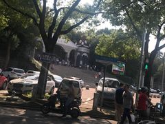 -上海佘山国家森林公园东门地面停车场