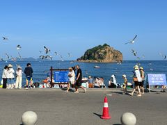 -棒棰岛宾馆景区