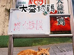 -大益烤鸡