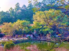 -南国桃园旅游度假区