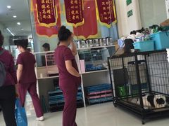 -瑞鹏宠物医院·微创内窥镜·骨外科·牙科(翠竹分院)