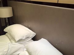 -廊坊固安福朋喜来登酒店
