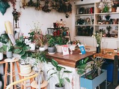 -一棵树咖啡馆(泉乐坊店)