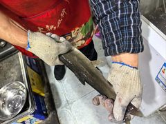 -老字号怡玺·藿香雅鱼(20年雅安店)