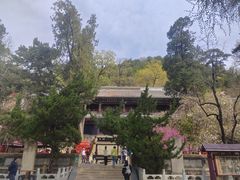 -潭柘寺景区