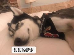 -北京山里寒舍度假酒店