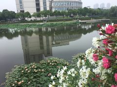 -江南大学(蠡湖校区)