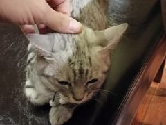 -H立方实景剧情密室(天河旗舰店)