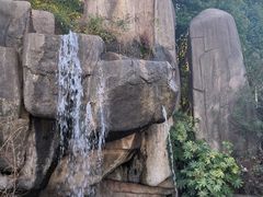 -新洲生态园