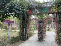 -遇见世外桃源教育农场