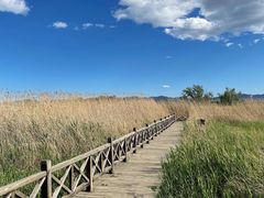 -野鸭湖国家湿地公园