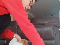 -多乐狗狗宠物训练工作室