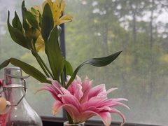 -一坐一忘云南菜(三里屯店)