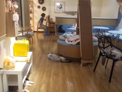 -滚猫咖啡·猫咖·猫友好撸猫(未来城店)