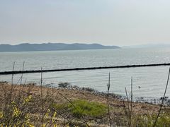 -苏州太湖国家湿地公园