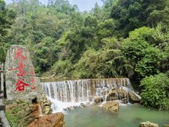 -华蓥山天意谷景区