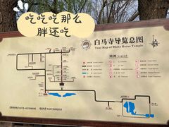 -洛阳白马寺