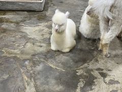 -上海大自然野生昆虫馆(东方明珠·爬宠昆虫探索中心)