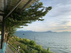 -七鲜渔港美食餐厅(巽寮湾海景店)