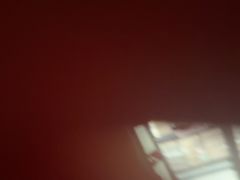 -巢爷老味(东方红店)