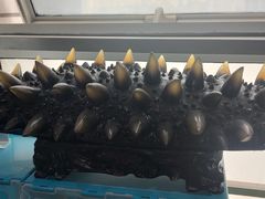 -宫品海参专卖店(静安大宁店)