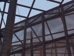 -石排湾郊野公园