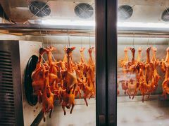 -鸽子侯·家宴·平价海鲜(绿地店)