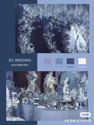 -DC大蔡婚礼策划(李公堤店)
