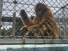 -西安秦岭野生动物园