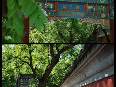 -北京国子监胡同
