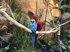 -杭州开元森泊度假乐园