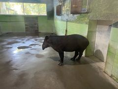 -石家庄市动物园