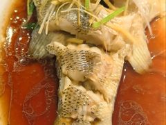 -七菜馆·东北菜·蒸饺(文体路店)