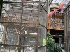 -南宫五洲植物乐园