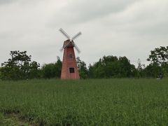 -同里国家湿地公园