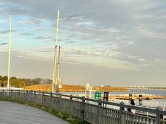 -莲花岛景区