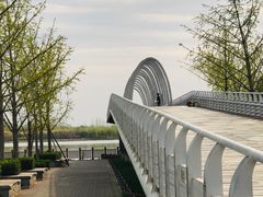 -大兴滨河森林公园