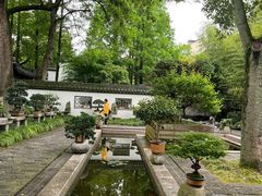 -上海醉白池公园