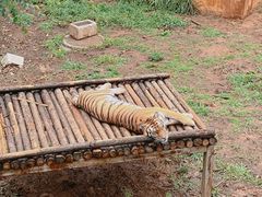 -昆明动物园
