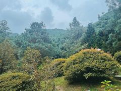-苍山感通索道