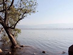 -西昌邛海湿地