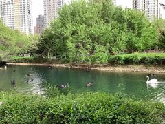 -长白岛森林公园