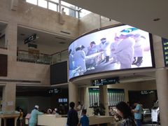 -上海市第七人民医院