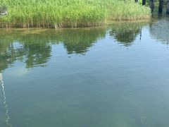 -苏州太湖国家湿地公园