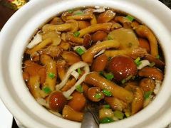 山珍野菌汤-刘胖子家常菜·蹄花焖藕(兴业店)