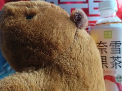 -覔书店(壹方城店)